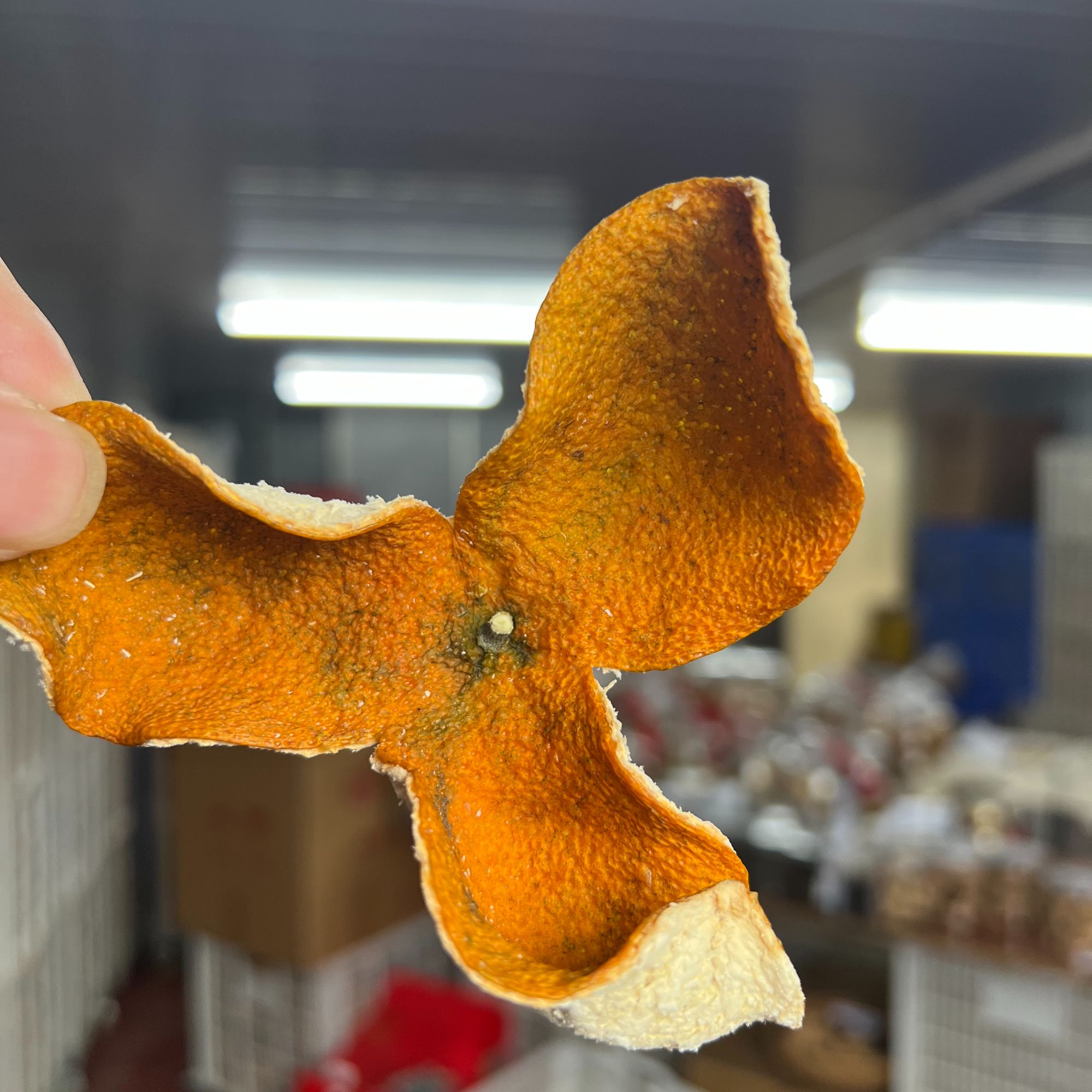 【茶坑二红】2025年茶坑八年圈枝二红新皮 囤皮好年份