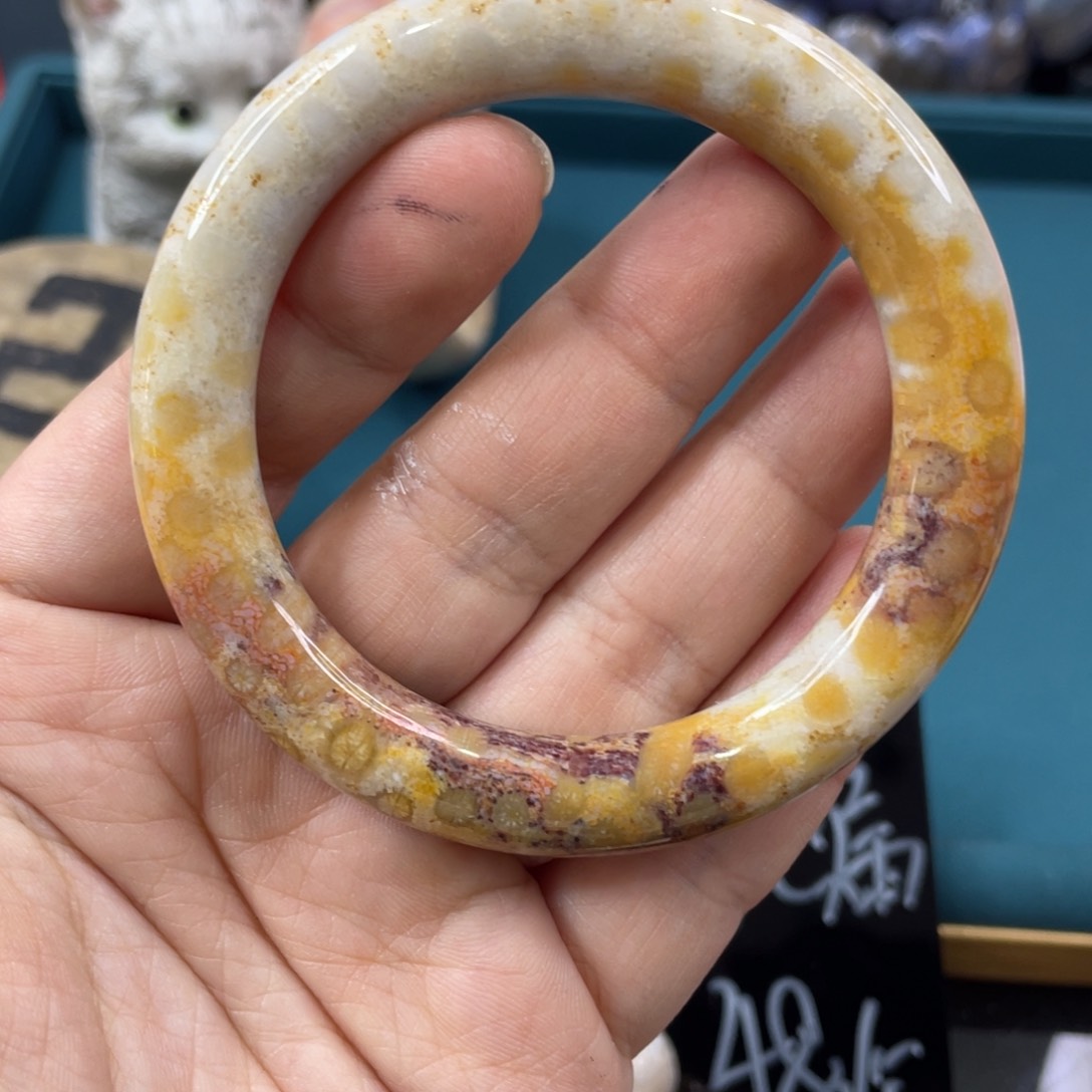 未镶嵌手镯硅化玉