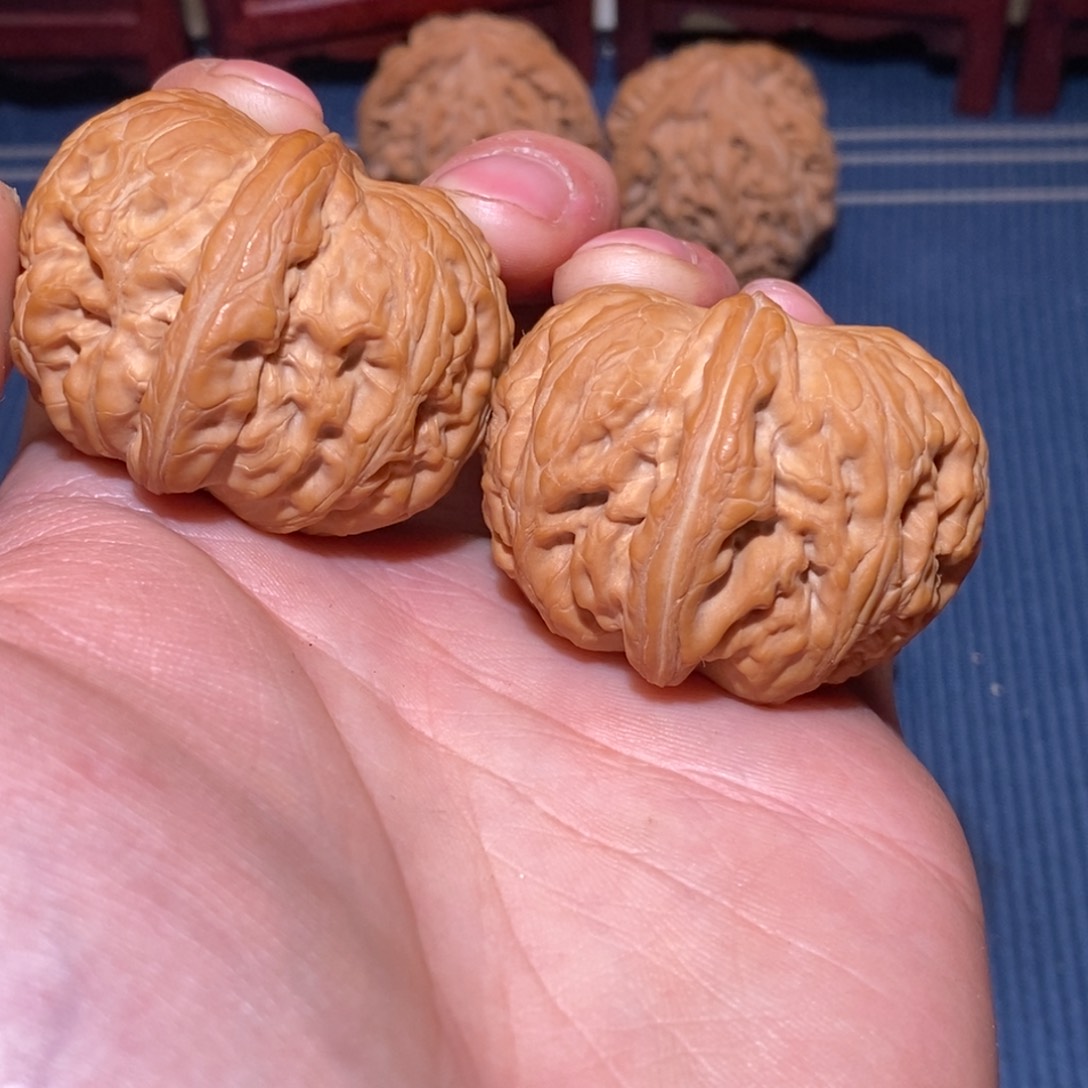 44尺全品无修白茬 元宝