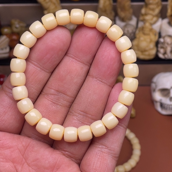 驼骨摆件人工养殖