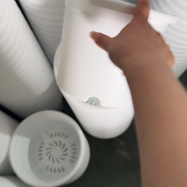 四季3号纯白无托10个特价微瑕