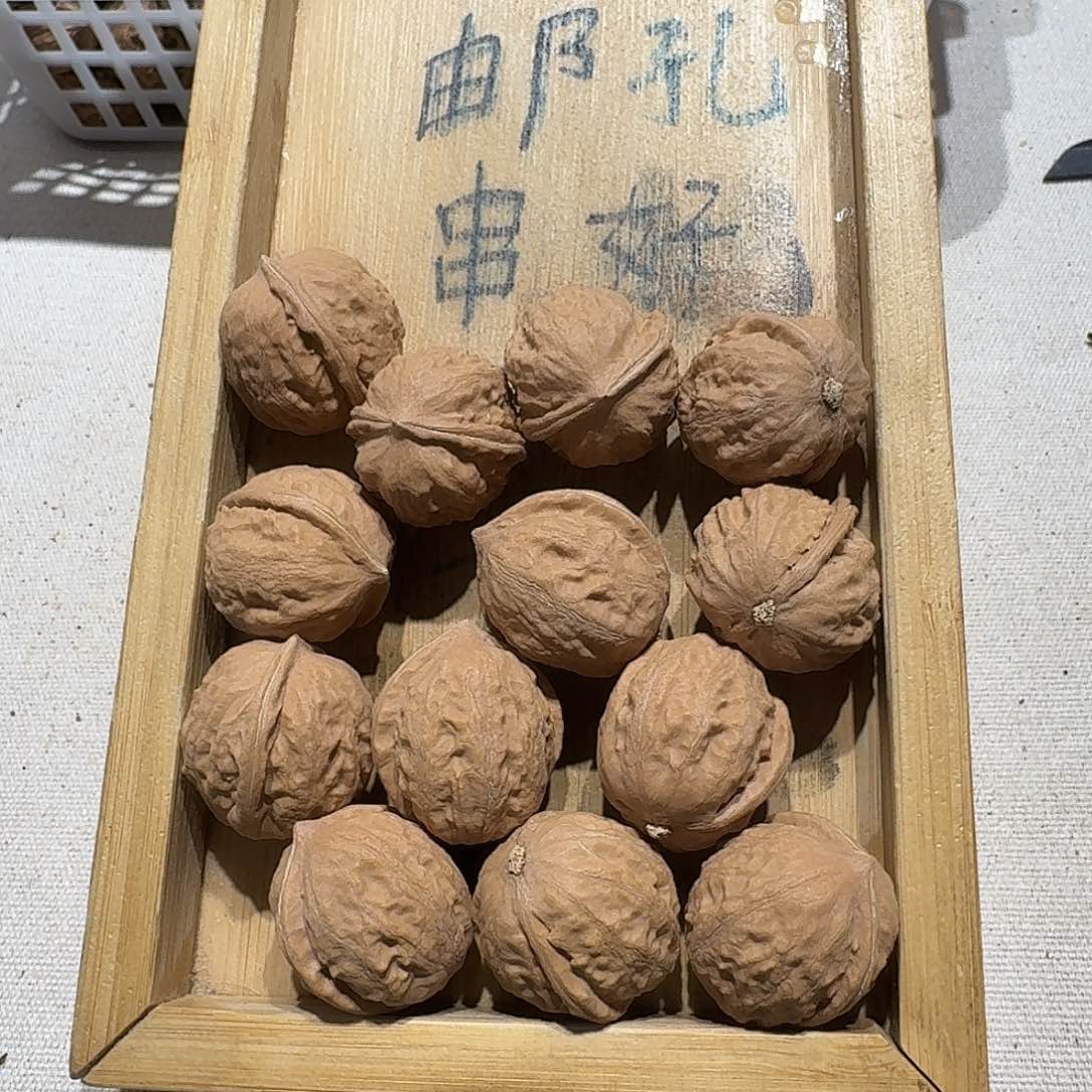 核桃手串/手链11号边25肚26高25