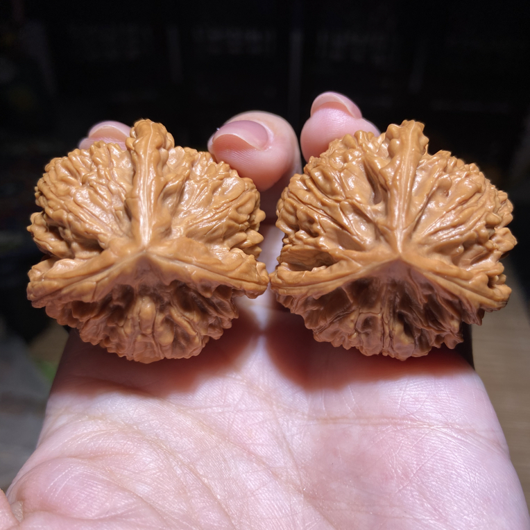 文山三棱文玩核桃手把件 40尺