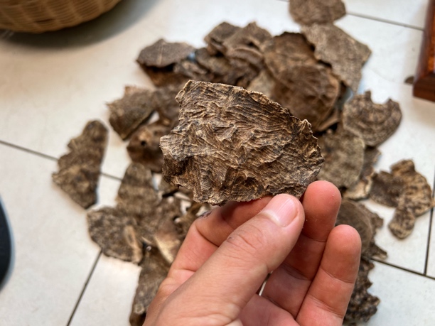 海南乐东尖峰岭野生香料