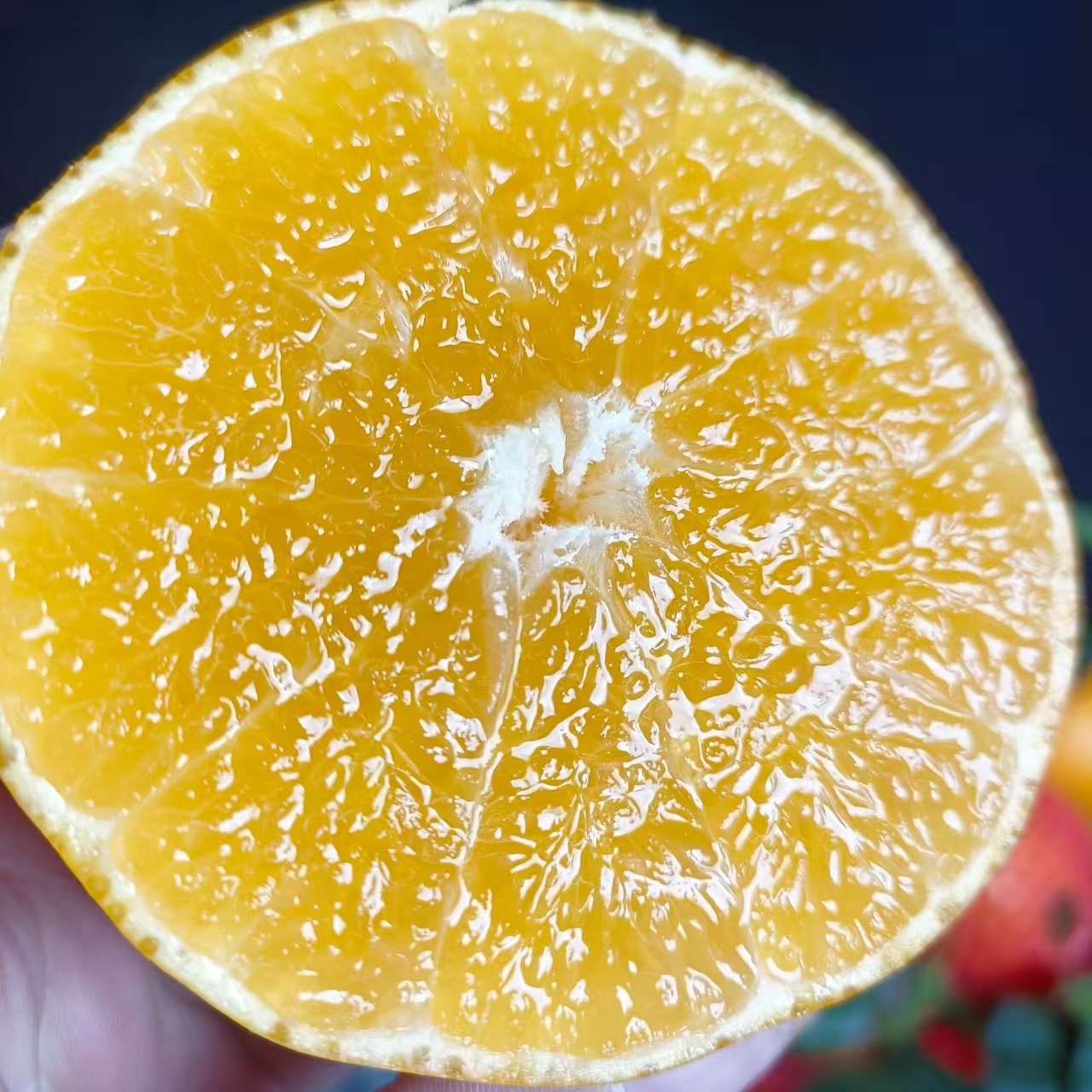 罗氏爱媛爆汁果冻橙（惠鲜水果）四川省