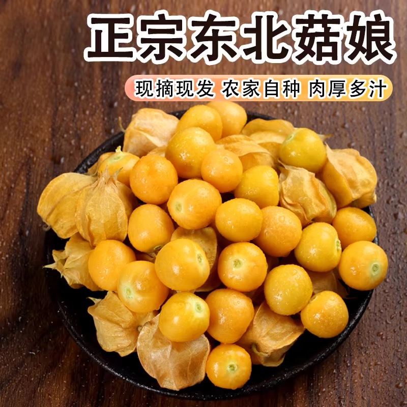东北姑娘果灯笼果新鲜采摘整箱包邮