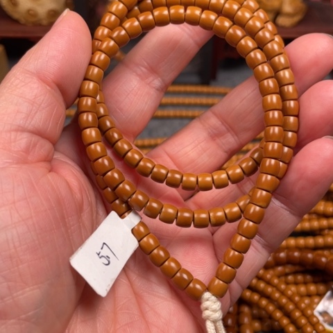 本****李橄榄橄榄橄榄橄榄橄榄