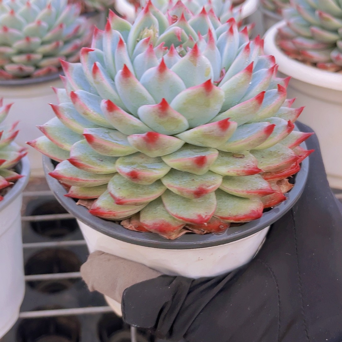 王***焮欣899899999999989999