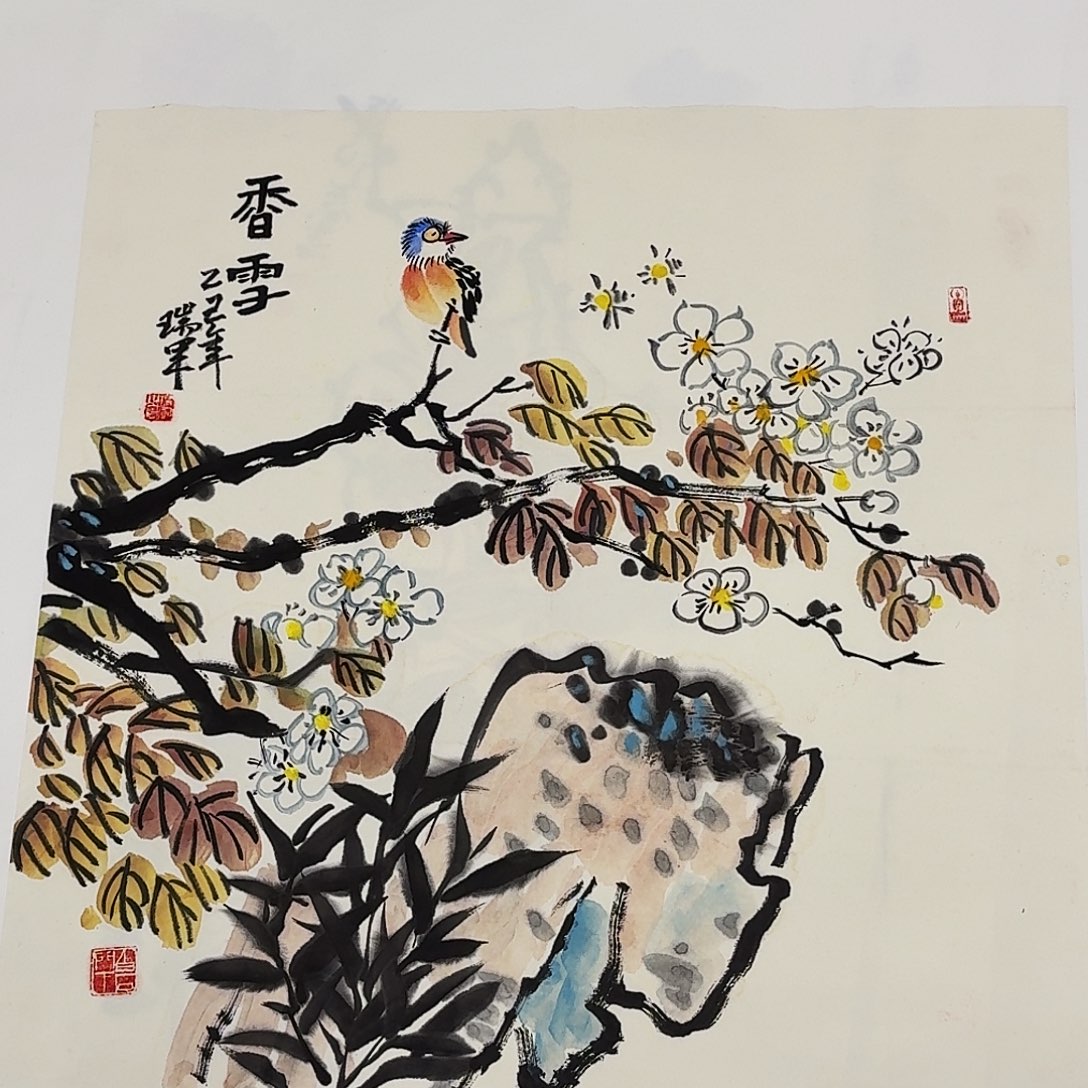 国画50斗方写意花鸟