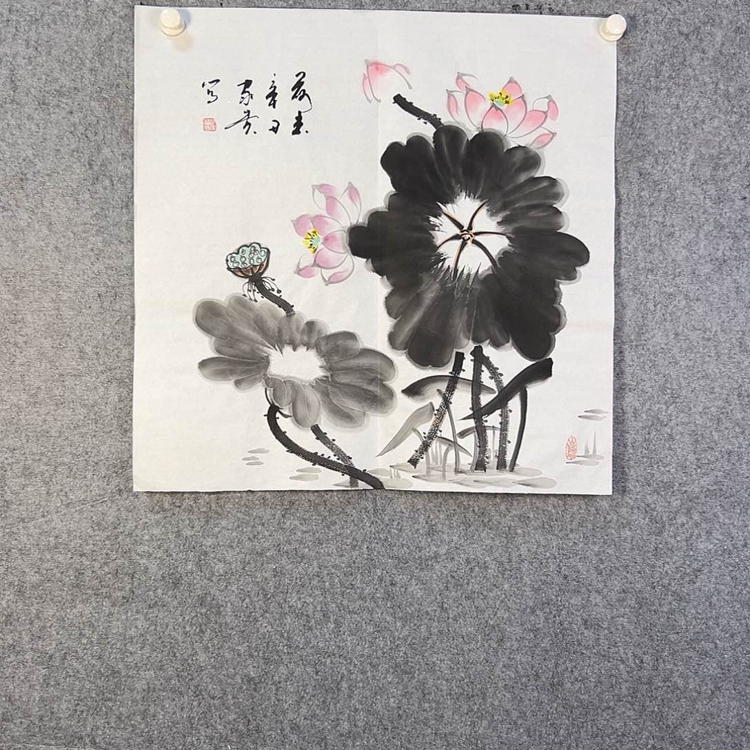 国画217 花鸟等各种鸟类栖息的