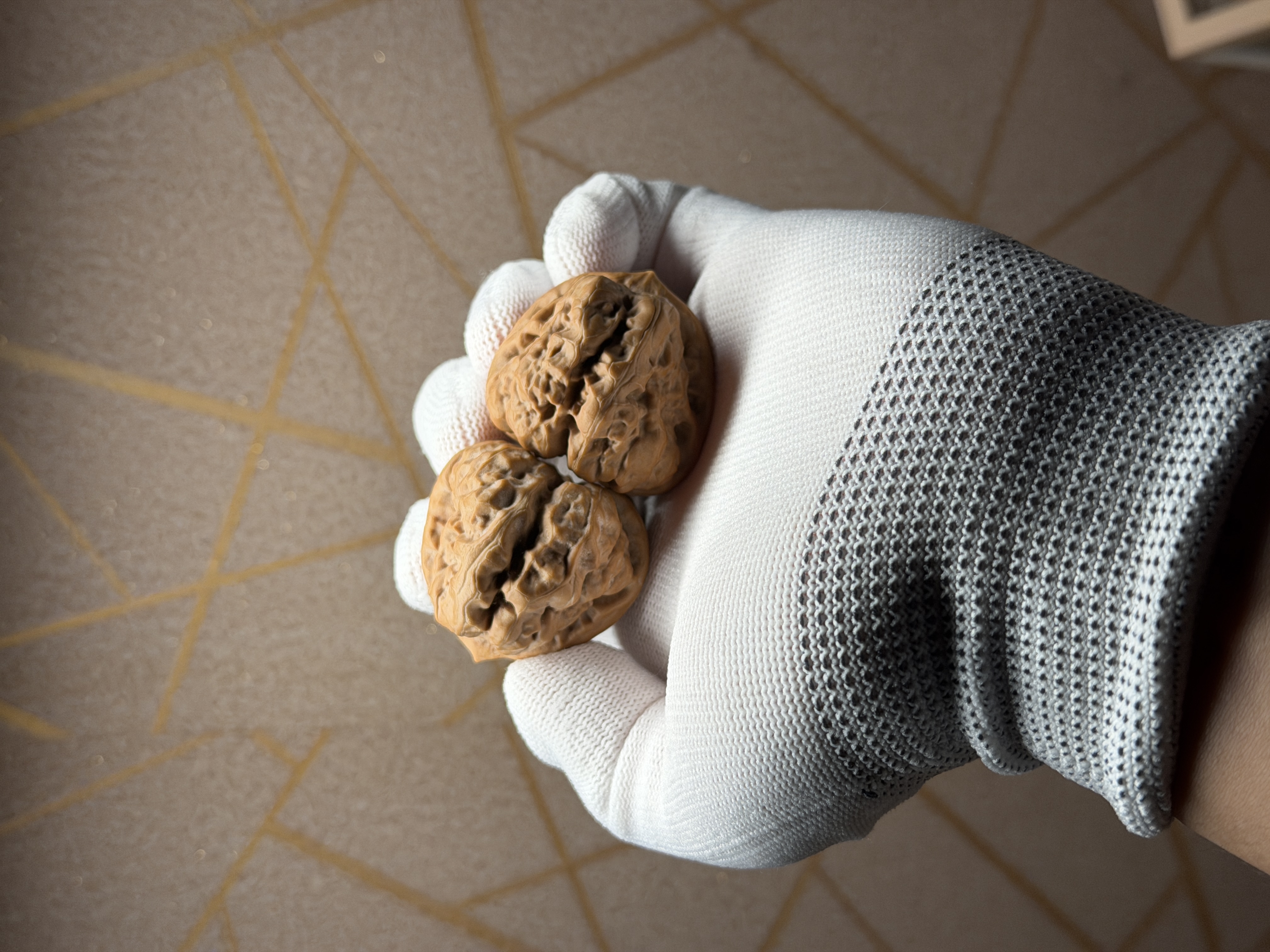 边38肚42三角四开背毕业级别恶蟾蛤蟆头