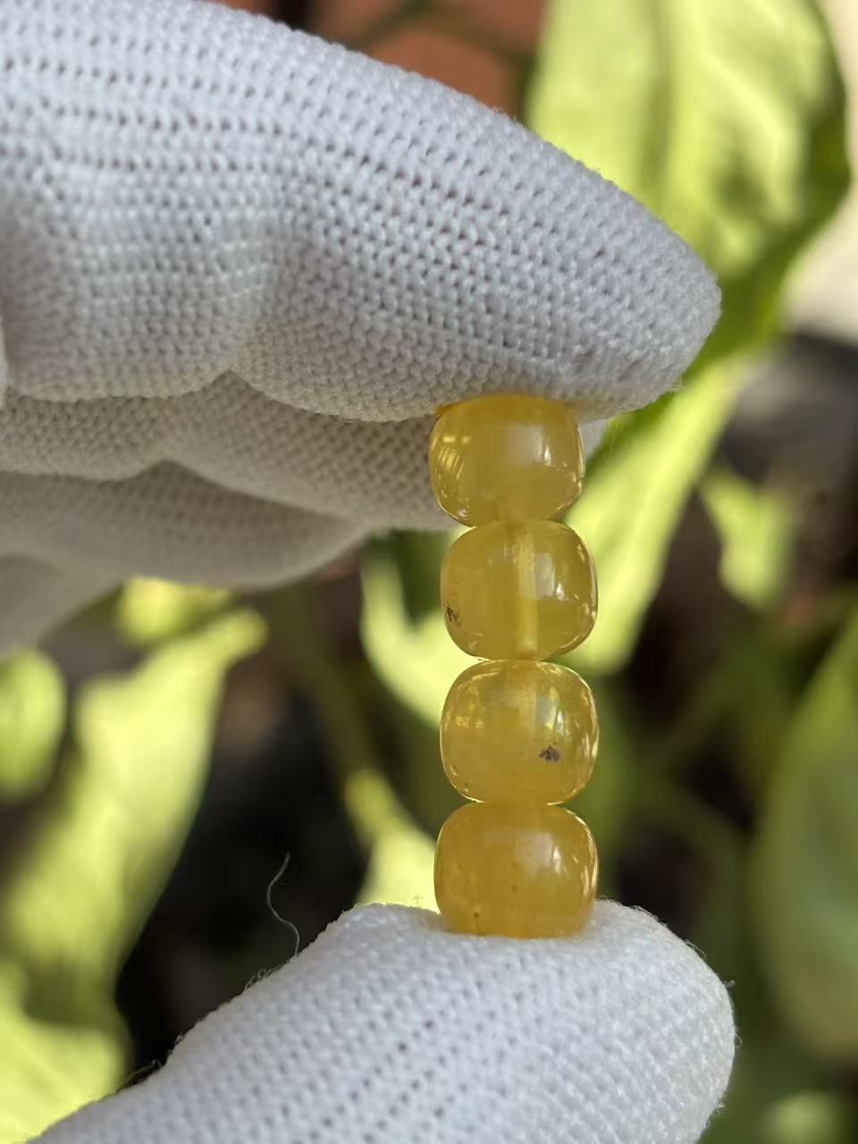 3951天然蜜蜡琥珀老型墩子8x6mm