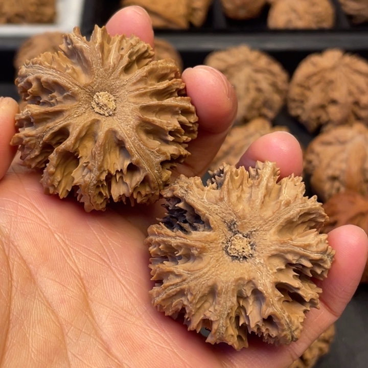 林***地文玩核桃吊坠突突突突突突突突突突