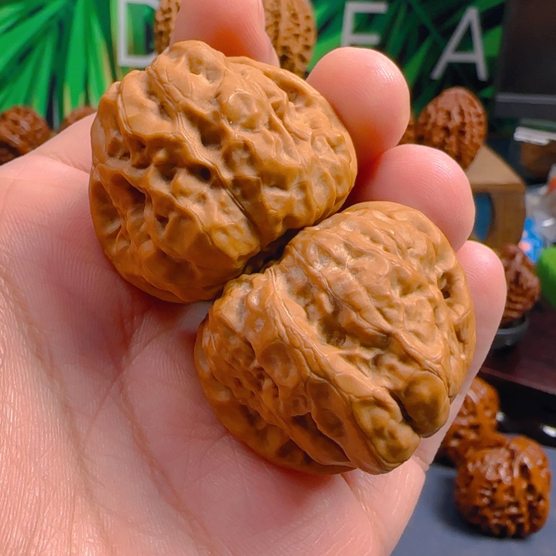 文玩核桃手串40蛤蟆头