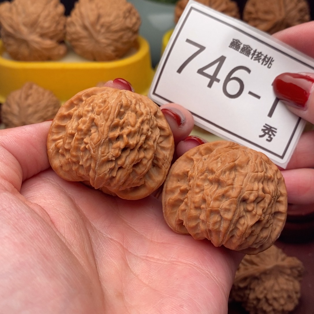 文玩核桃把件白狮41