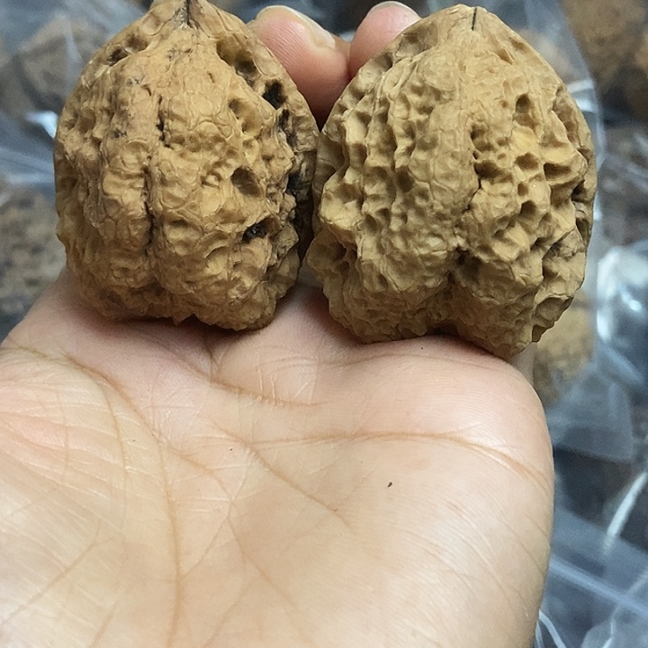 文玩核桃把件云南铁核桃基地6