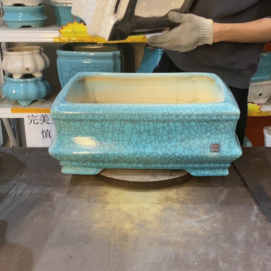 文瑕疵花盆花盆里的花