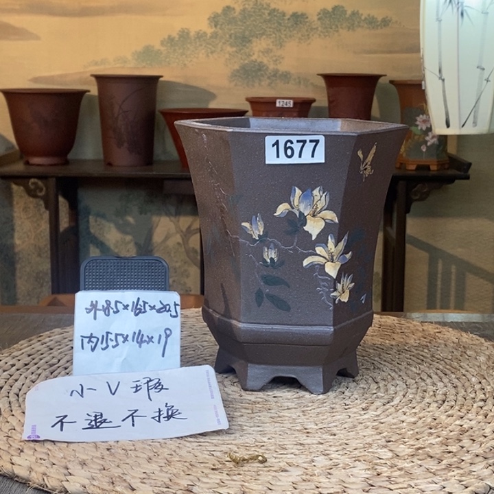 花盆紫砂   微瑕紫泥高温彩绘玉兰束腰六方1677