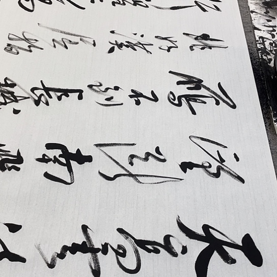 书法Lvqinzhenshufa