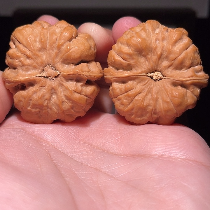 官***大核桃手串/手链蛤蟆   