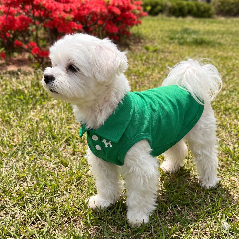 宠物狗狗衣服春夏款绿色polo衫小型犬两脚衣服雪纳瑞比熊泰迪小型