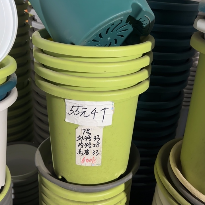 四季7#口径33无托果绿6个