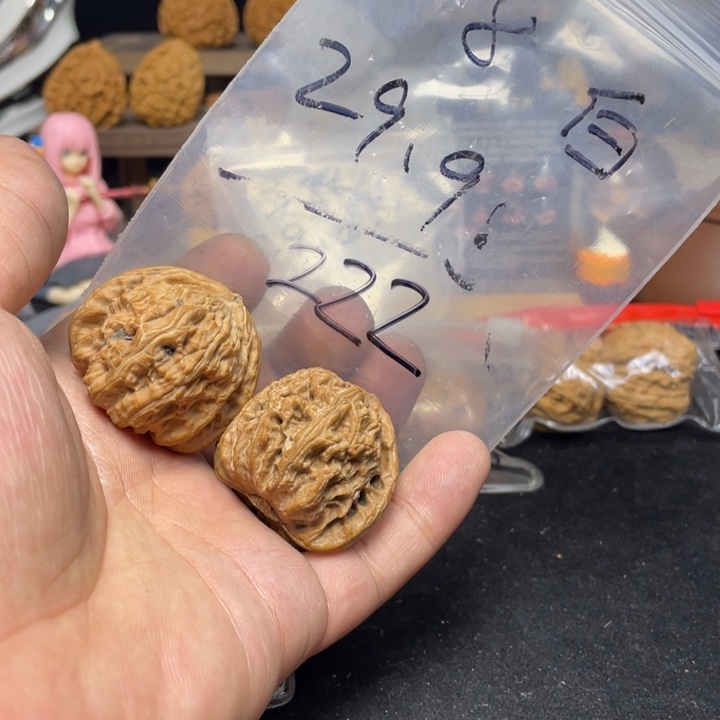 文玩核桃把件z****g白狮子