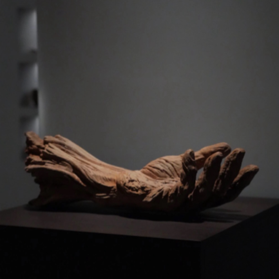 《舍》原创手工雕刻龙眼木陈设摆件香插九年风化摆件 大手52公分