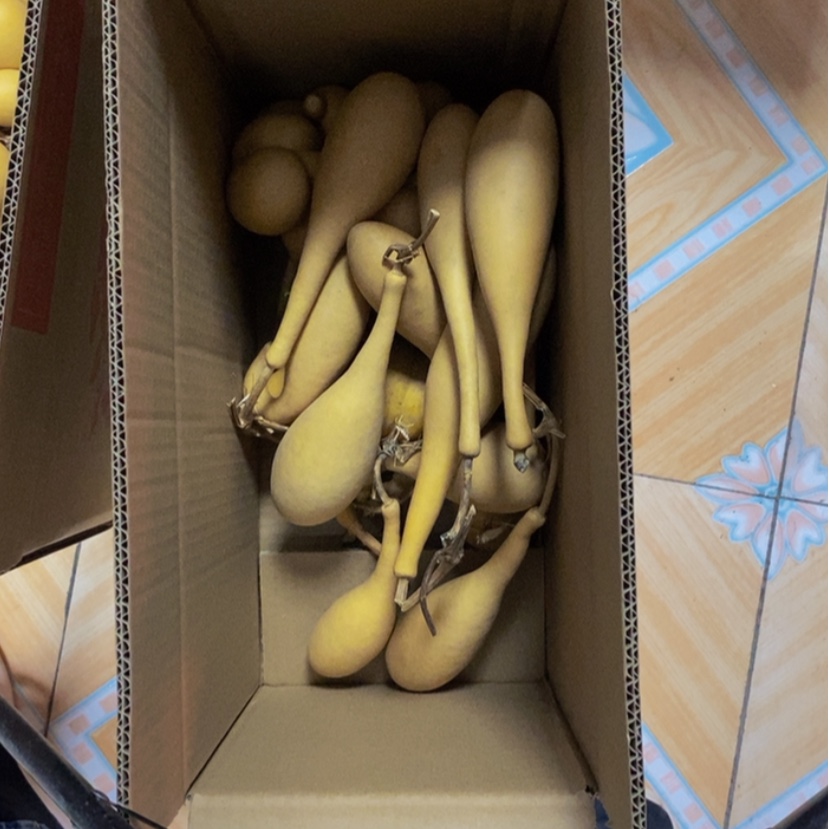 【闪购商品】十个瓜条30块钱