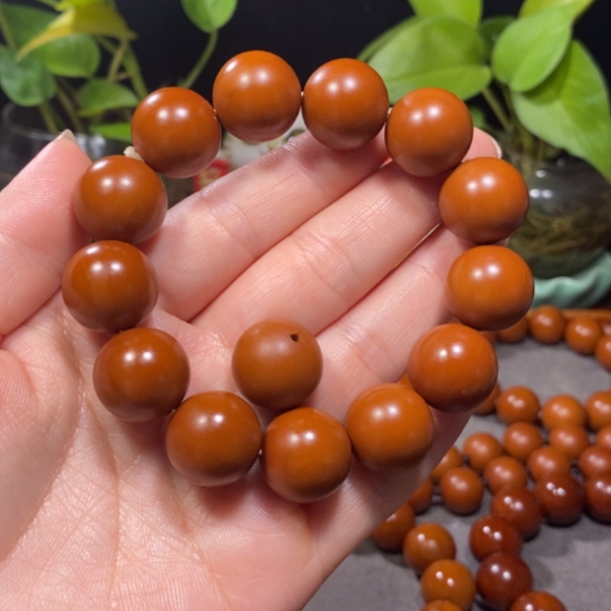 【闪购商品】橄榄核吊坠꧁****1.70+广西树王精品小孔