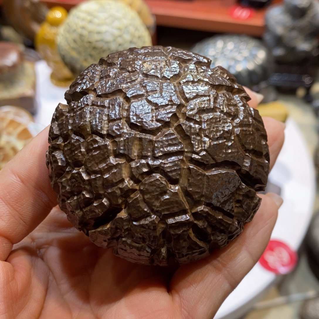 上***古羊羔毛龟纹石原产地直播