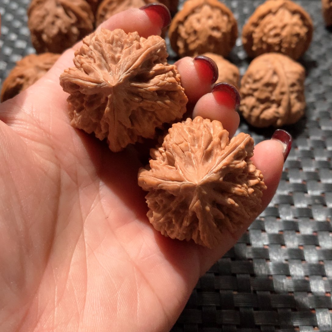 文玩核桃把件御龙粗筋