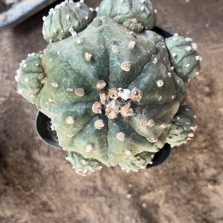 海星兜群^_^^_^^_^^_^