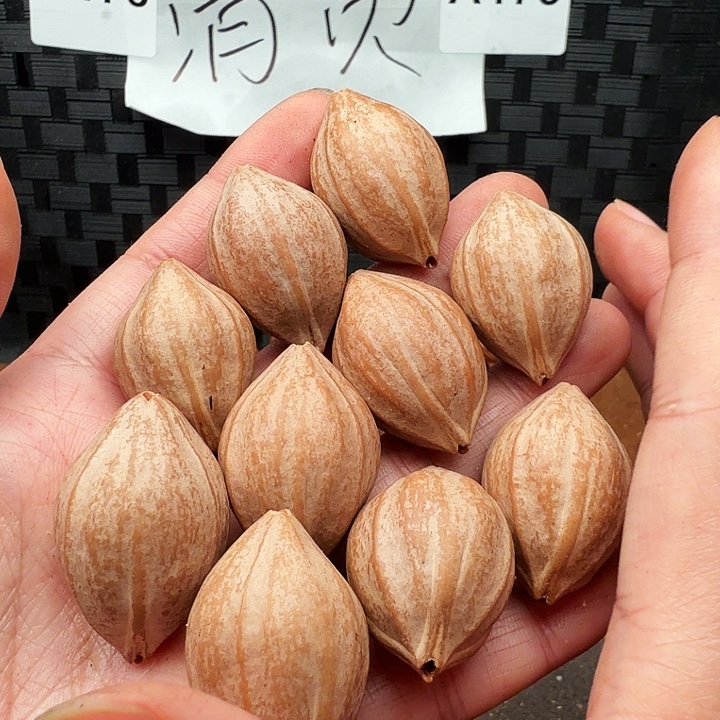 彭***生橄榄核手串/手链橄榄