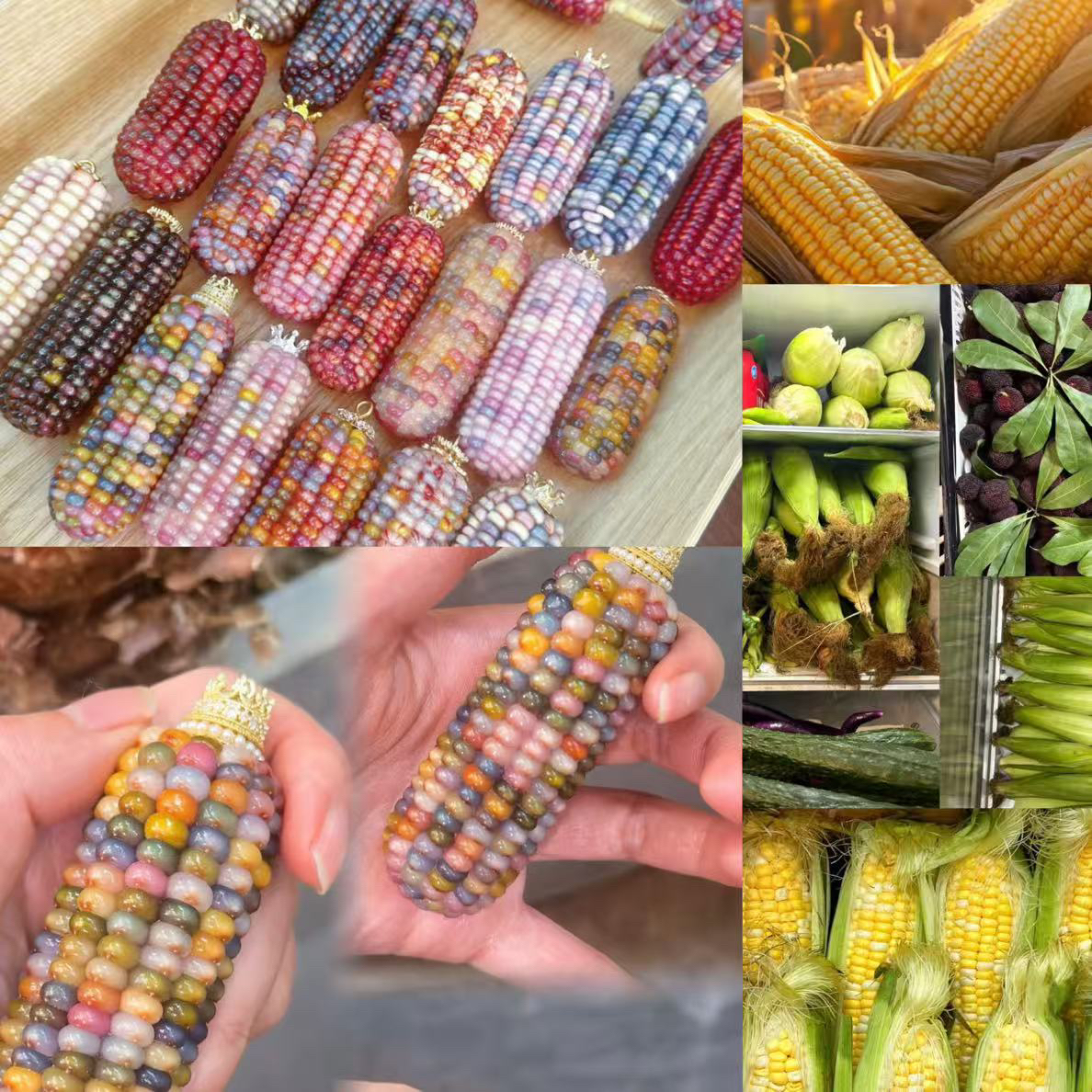 孟公子~专用链接云南玉米山货农产品