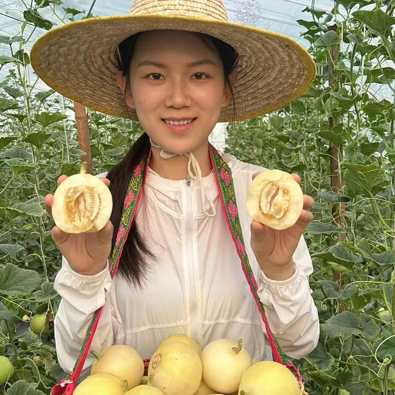 【顺丰快递】山东小蜜蜂甜瓜早甜脆小蜜罐甜瓜蜜瓜香瓜新鲜水果