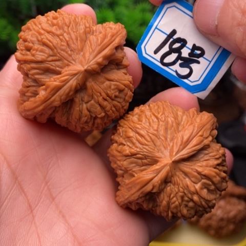 文玩核桃吊坠南疆44.5