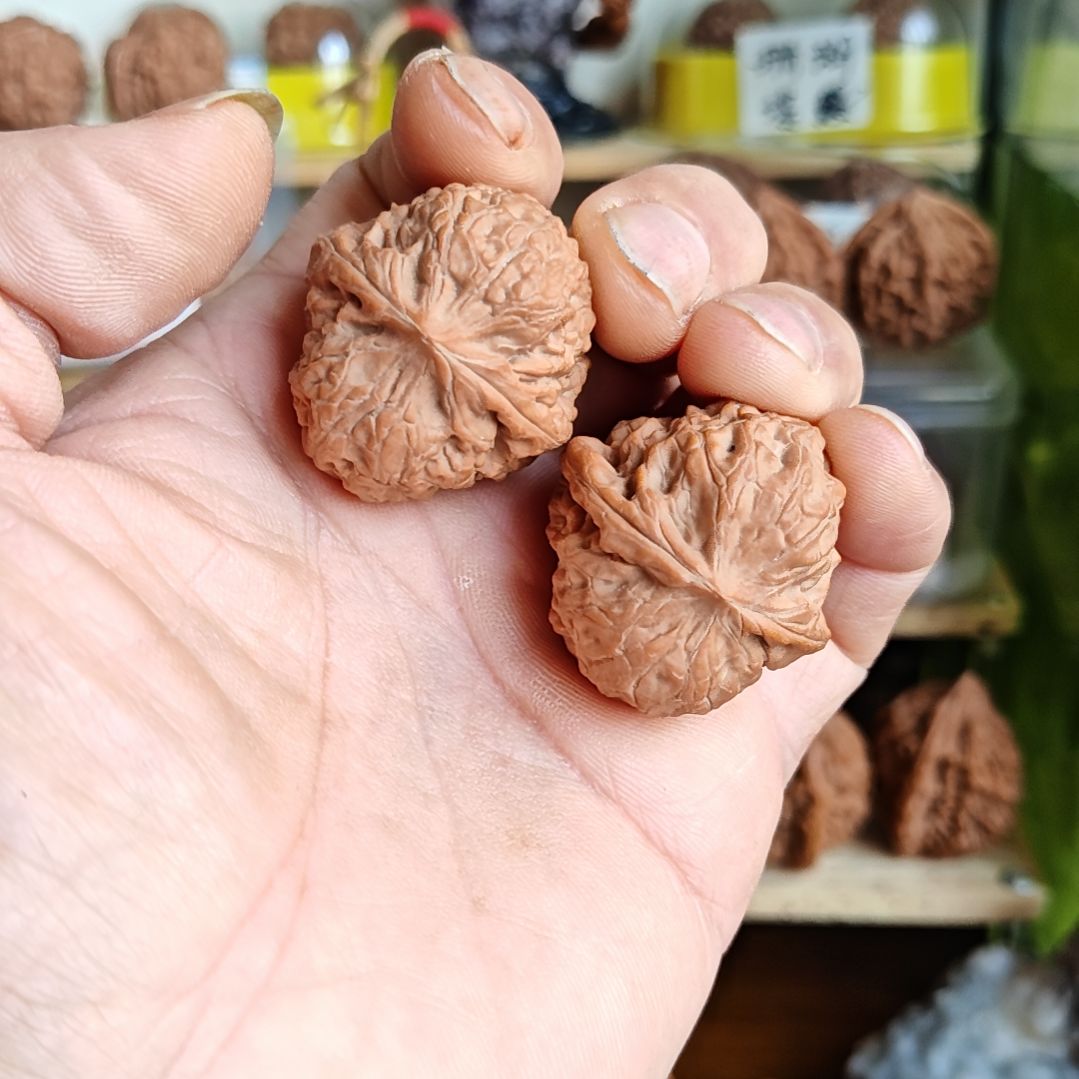34加尺寸小众大团圆