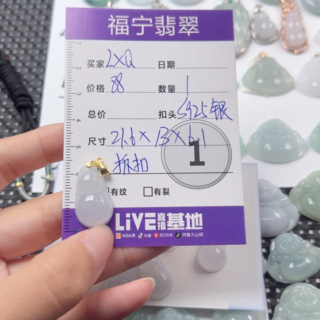 翡翠未镶嵌颈饰L****吊坠