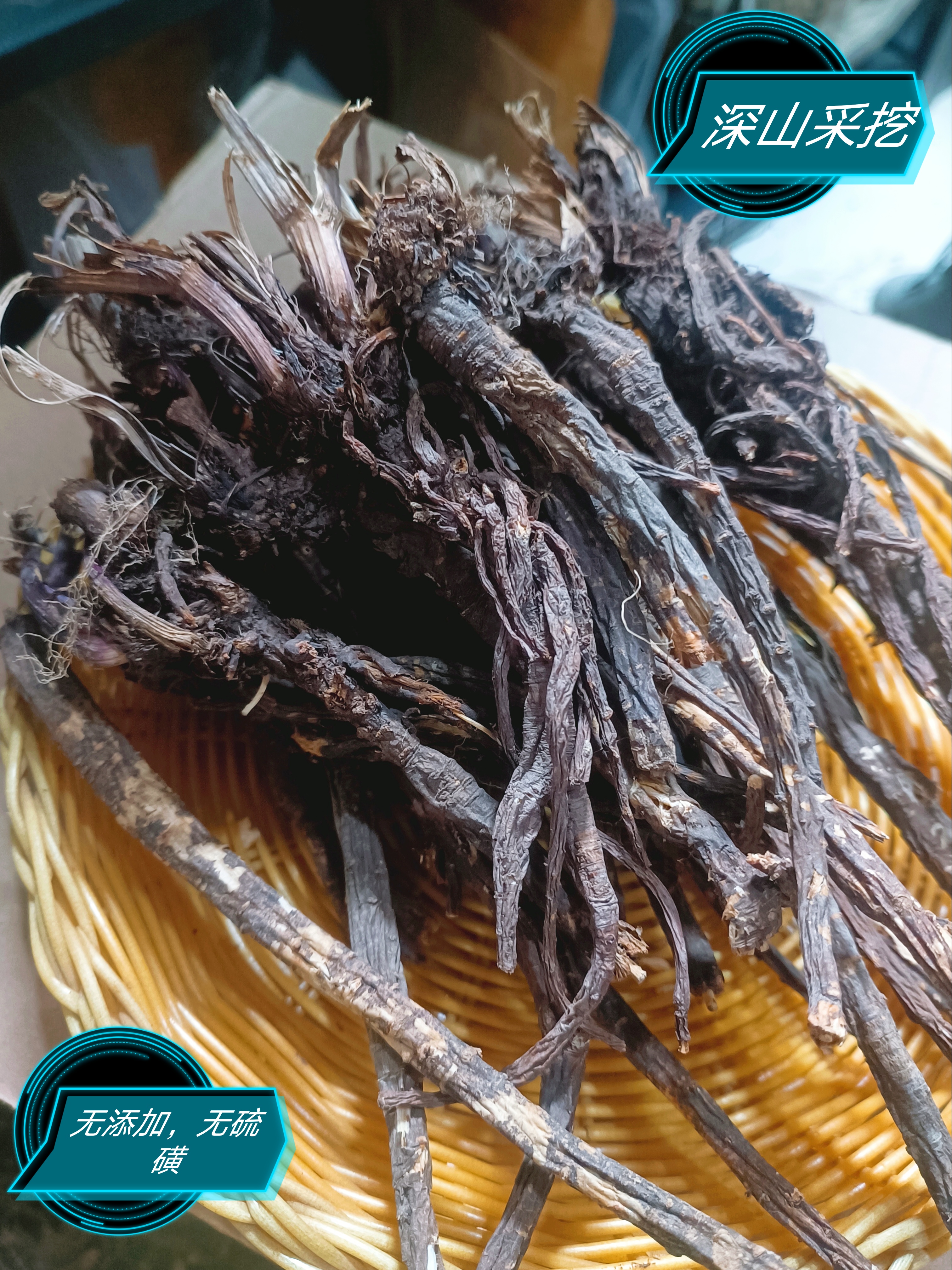 甘肃深山非种植羌活羌活批发