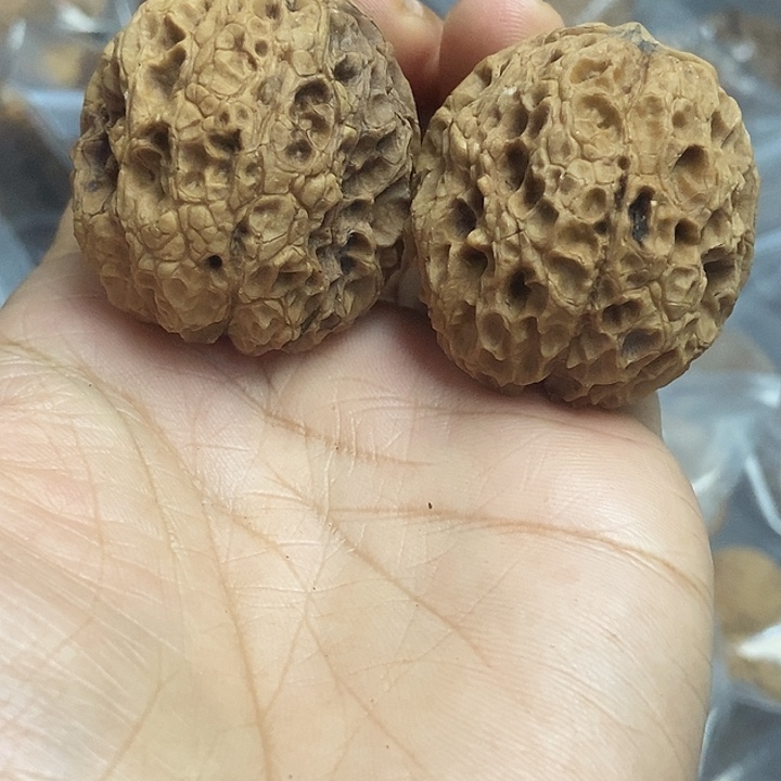 把件文玩核桃云南铁核桃基地14