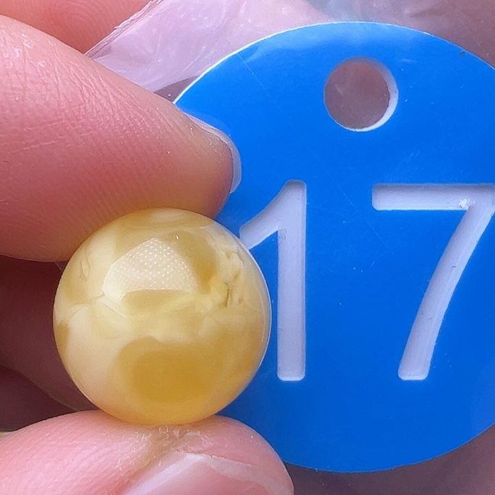 蜜蜡裸石未镶嵌13.5m m