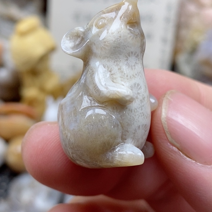 颈饰未镶嵌硅化珊瑚（珊瑚玉）