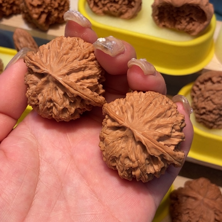 官方网站发布消息表示