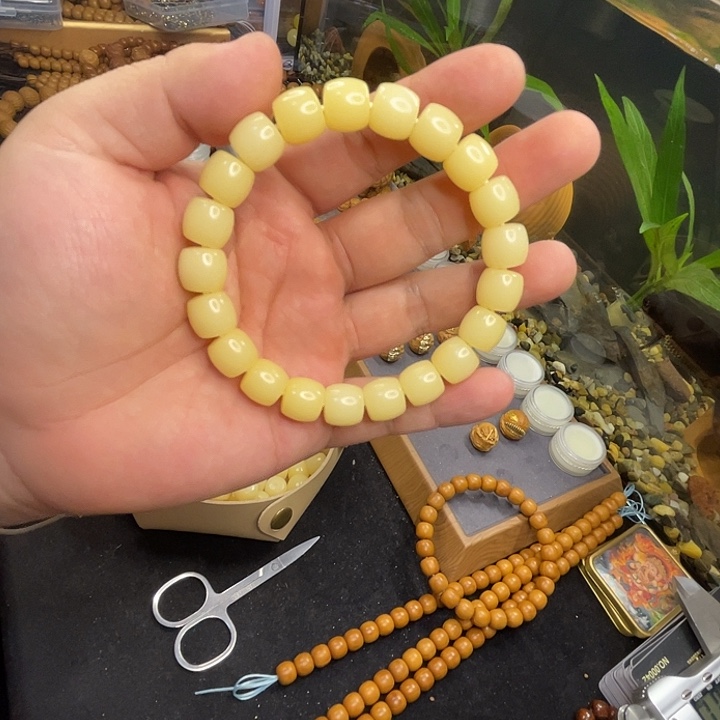 菩提根/象牙果把件直切菩提根素圈