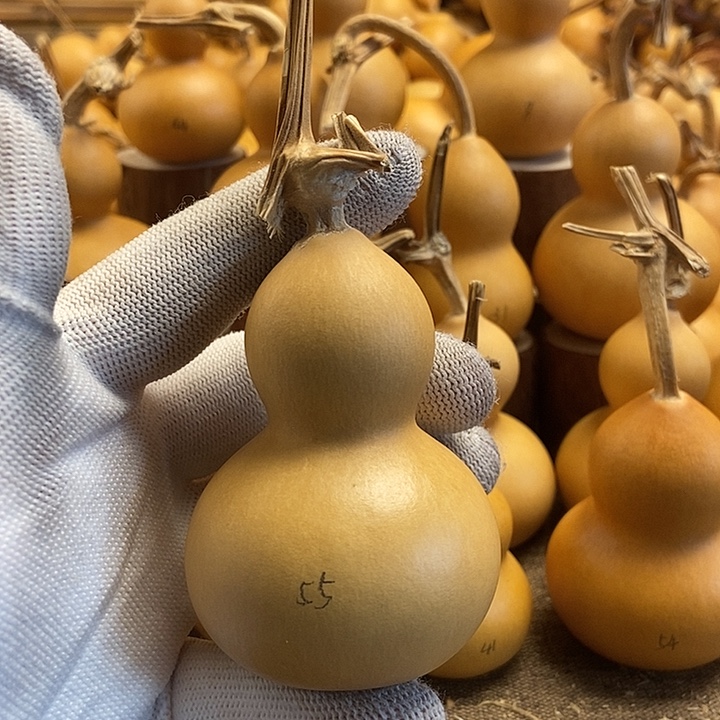 文玩葫芦 完美主义者 慎拍55