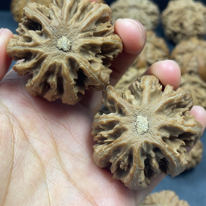 星***海吊坠文玩核桃突突路突突突突突突突