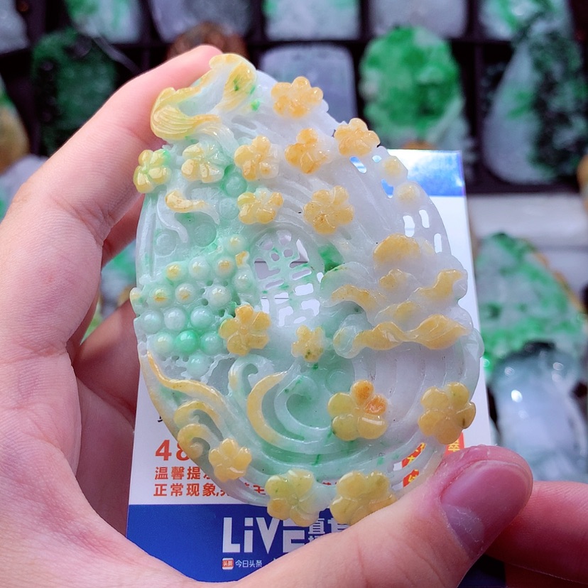 【闪购商品】翡翠颈饰未镶嵌挂件