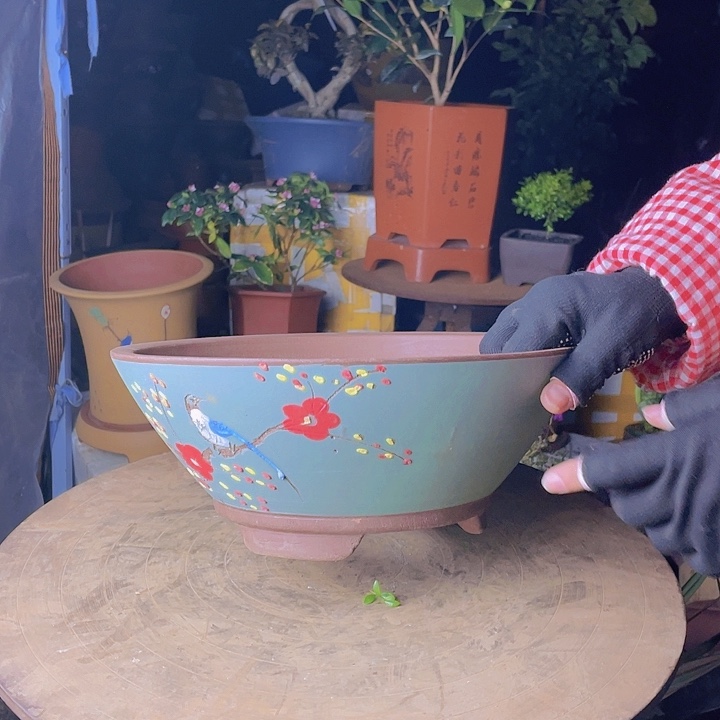 紫砂宜兴紫砂绿斗盆大