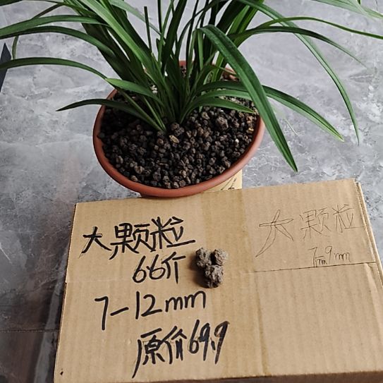 道***然兰菌黑山土大颗粒6.6斤